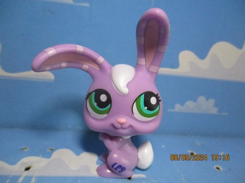 Petshop lapin garenne - de,