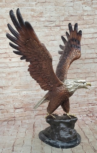 Aigle par jules - aigle,