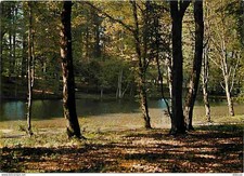 59 - Mormal - Foret de Mormal - Etang du Camp David - CPM - Voir Scans Recto-Ver