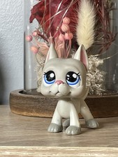 💖Petshop chien Danois Dogue