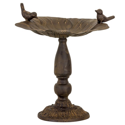 Bain oiseau abreuvoir bain