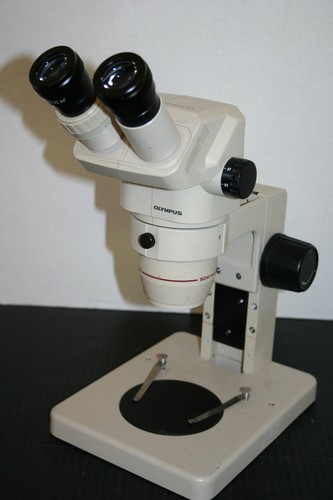 Nice olympus 4045 - nice, sz-4045