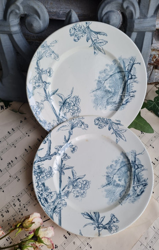 Anciennes assiettes a - 2,