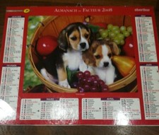 calendrier PTT , almanach du facteur poste 2008 CHIEN CHIOT Westie Beagle 