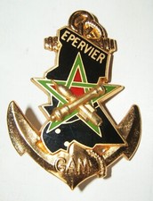 INSIGNE RICM - 2° ESCADRON -