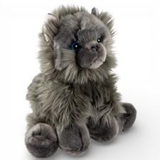 Chat persan carl dick - chat,