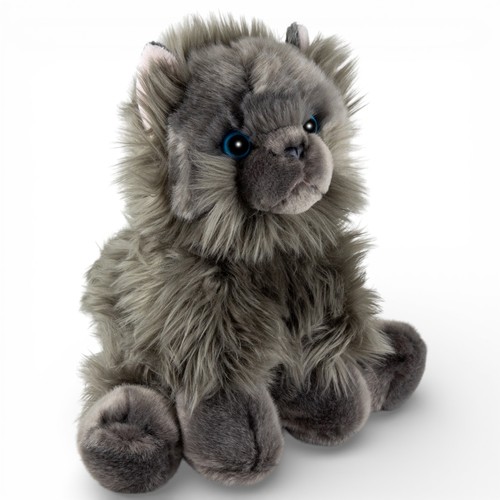Chat persan carl - persan,