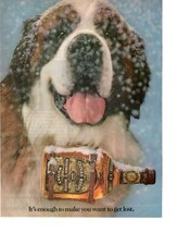 Chivas Regal Scotch Whisky