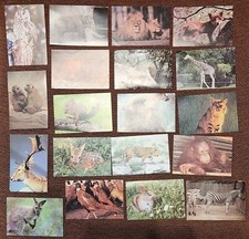 19 grandes images collection animaux 9 x 14 cm Images éditions éducatives Paris