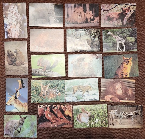 Grandes images collection - images,