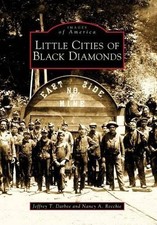 Jeffrey T. Darbee Nancy A. Recchie Little Cities of Black Diamonds, Oh (Poche)