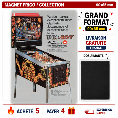 Magnet frigo flipper - magnet, bot