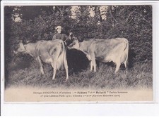 ESCOVILLE: elevage, "fédora"