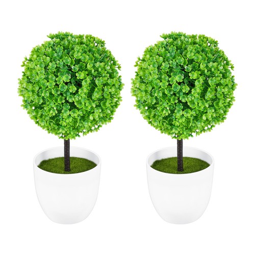 Wakauto 2pcs mini - 2pcs, plantes