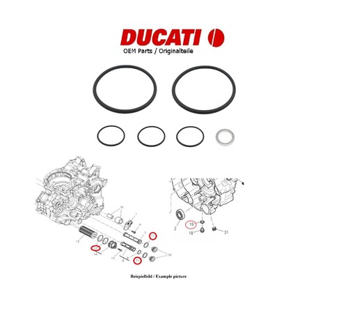 Ducati oem hypermotard - ducati,