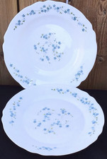 2 Plats Ronds Arcopal Veronica