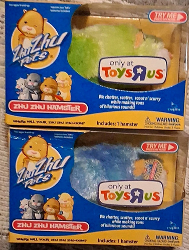 Zhu pets - zhu,
