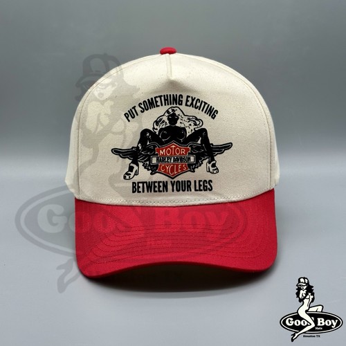 Harley davidson motor cycles - harley,