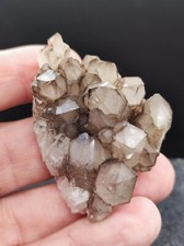 Top ! Ensemble de quartz fumé - PLOEMEUR