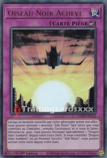 Yu-Gi-Oh! Oiseau Noir Achevé : UR L5DD-FRC25