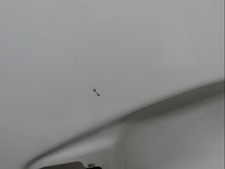 Porte avant gauche PEUGEOT 208 9807820780