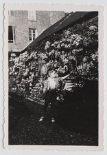 Garçon enfant touche arbre