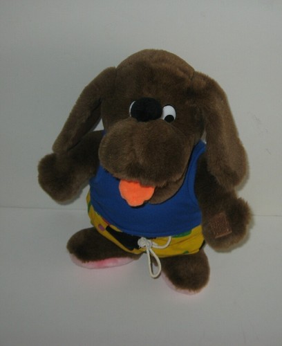 Chubby brown puppy dog in - brown,