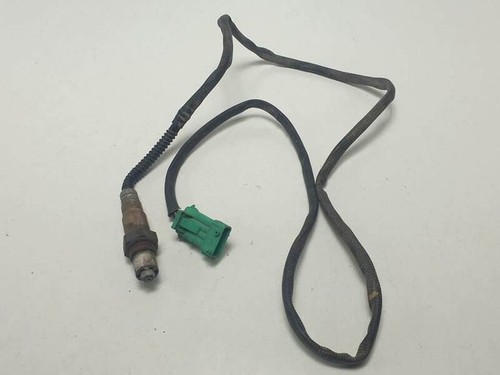 0258006026 sonde lambda