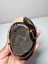 285g  Galet EN  SEPTARIA  SAUVAGE Madagascar Massage Lithothérapie pierre 