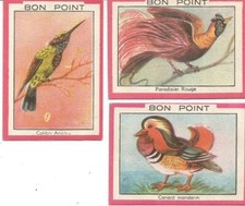 bon points anciens oiseaux
