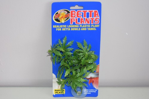 Aquarium betta plante - betta, petite