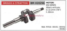 Arbre Moteur BRIGGS&STRATTON Moteur Tondeuse Raseuse 650 020296