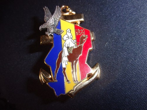 Insigne régiment marche - insigne, de