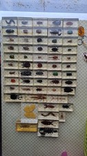 Collection Insectes résine