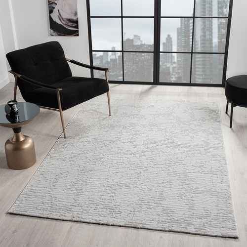 Tapis salon poils ras - à,