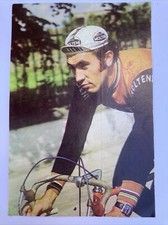 Autocollant sticker vintage publicitaire Molteni Cyclisme Eddy Merckx