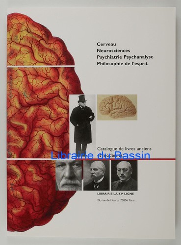Cerveau neurosciences - cerveau,