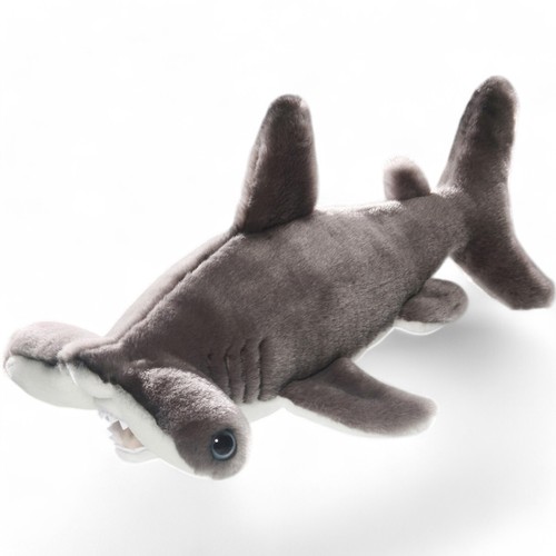Carl dick requin marteau - dick,