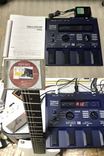 Roland guitar - roland,