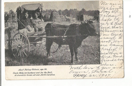 1907 washington african - pm,