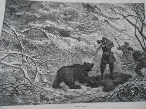 Engraving 1875 bear hunt - 1875,
