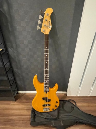 Guitare basse électrique