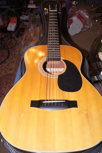 Goya small bodied acoustic - goya,