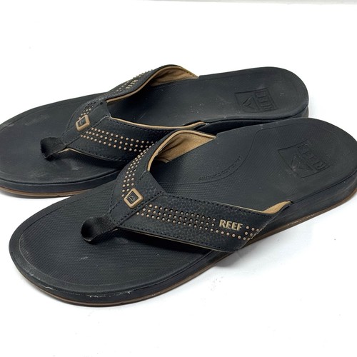 Reef ortho seas - reef, ortho-seas