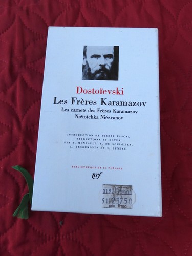 Pleiade dostoievski les - pleiade,