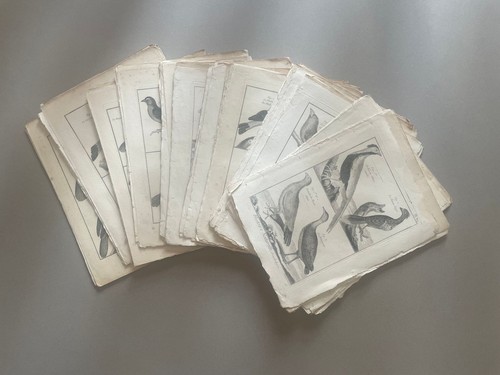 Lot gravures - lot, 85