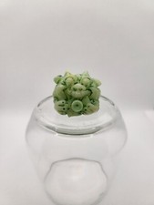 BOGLINS - MINI BOGLINS - THE GREEDIES : SCOUT GLOUB GLOW NEON / MATTEL 1991 1994