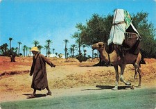 TUNISIE ILE DE DJERBA LA JAFFA