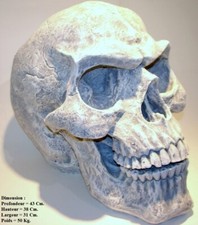 Tête de Mort géante en Béton Peint 36cm Haut x31cm Large x45cm profondeur.(neuf)