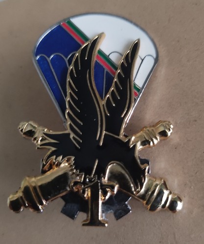 Insignes parachutistes cie - insignes,